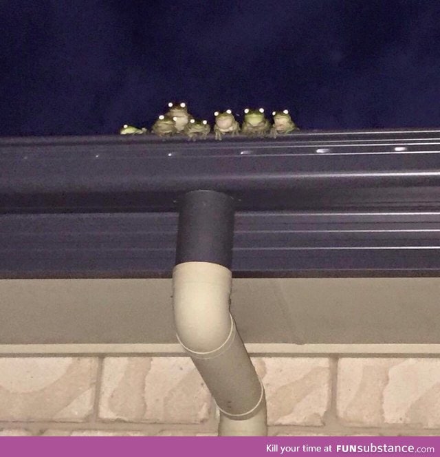 You never know when a frog family is watching you