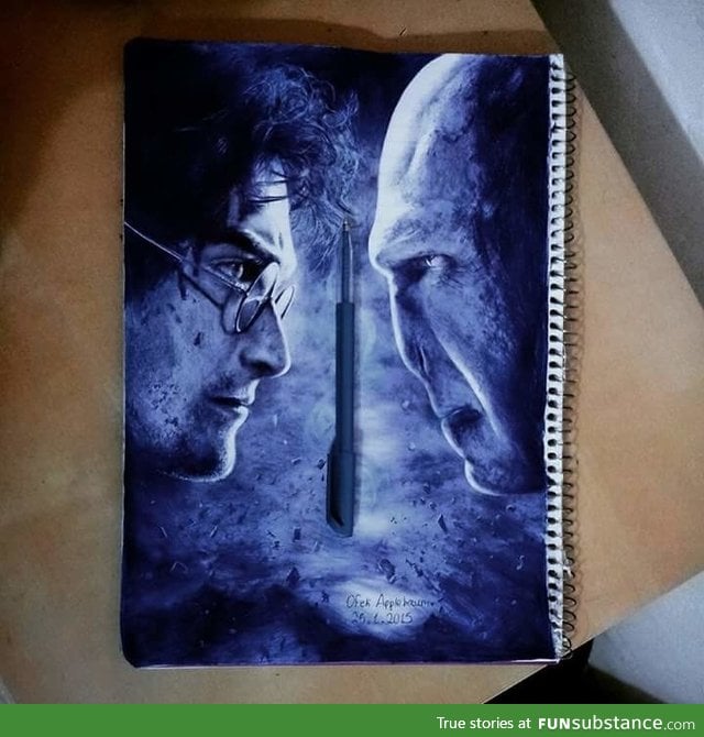Amazing Harry Potter art with only a blue ballpoint pen