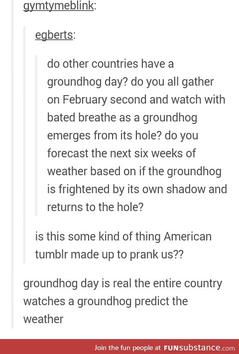 Groundhog day is weird