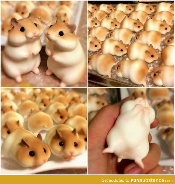 Japanese hamster bread