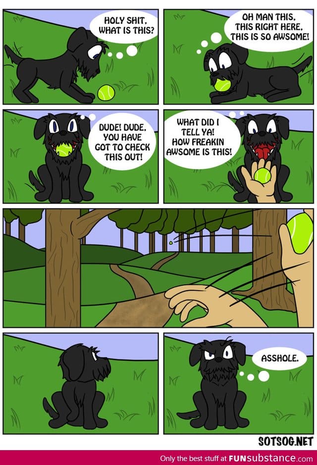 Fetch!