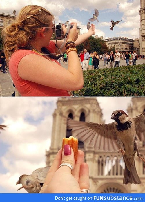 Hold a piece of cake in the air and take an awesome photograph