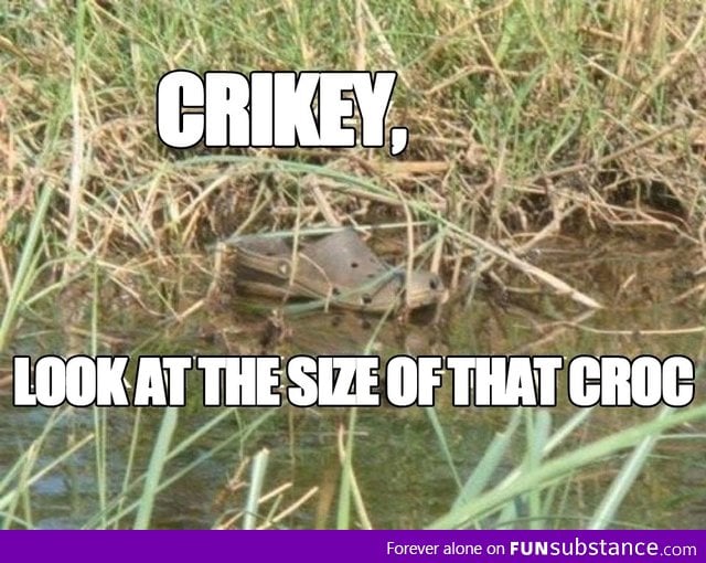 This made me laugh, and then miss Steve Irwin