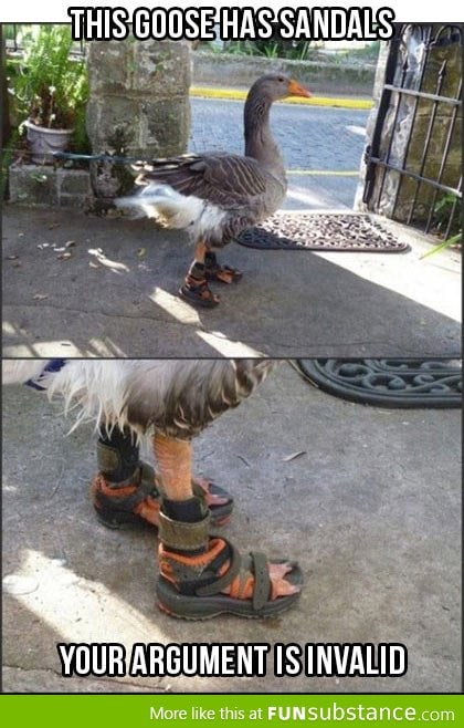 Goose with sandals