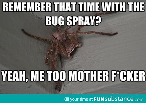 Remember that time with the bug spray