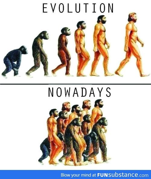 Evolution These Days