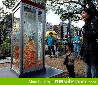 Phone Booths turned into Aquariums in Osaka, Japan