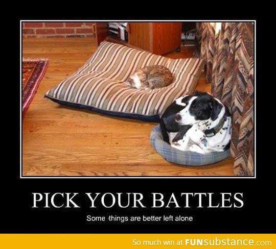 Pick your battles