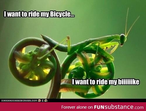 Mantiscycle