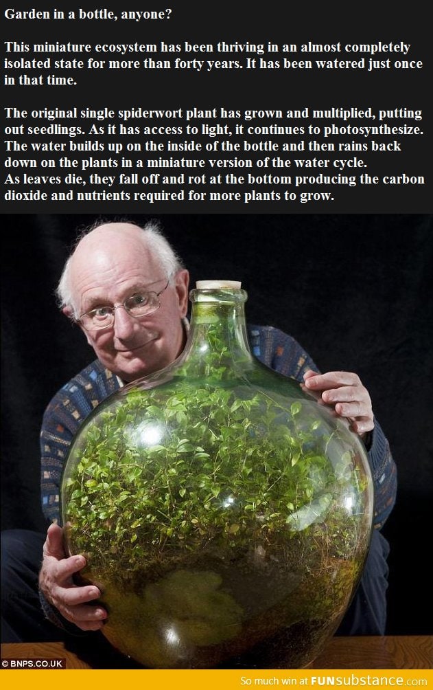 Garden in a bottle: Watered once in 53 years!