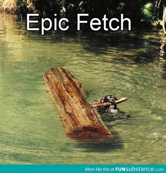 Fetch that log!