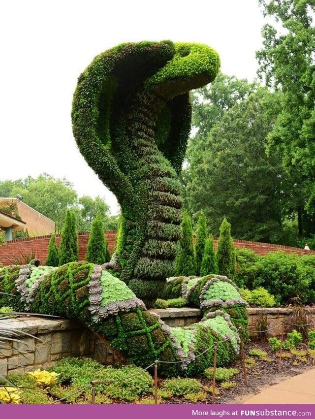 Cobra topiary