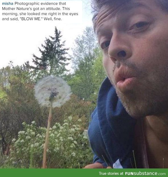 Misha Collins everybody