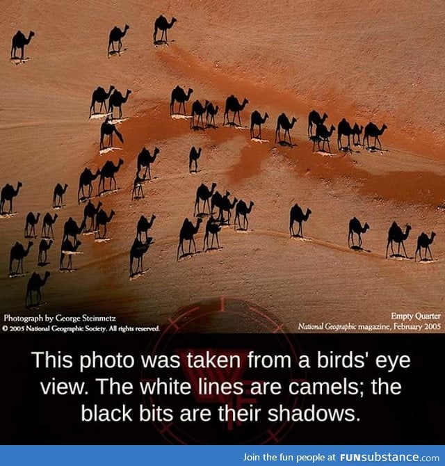 When shadows become solid