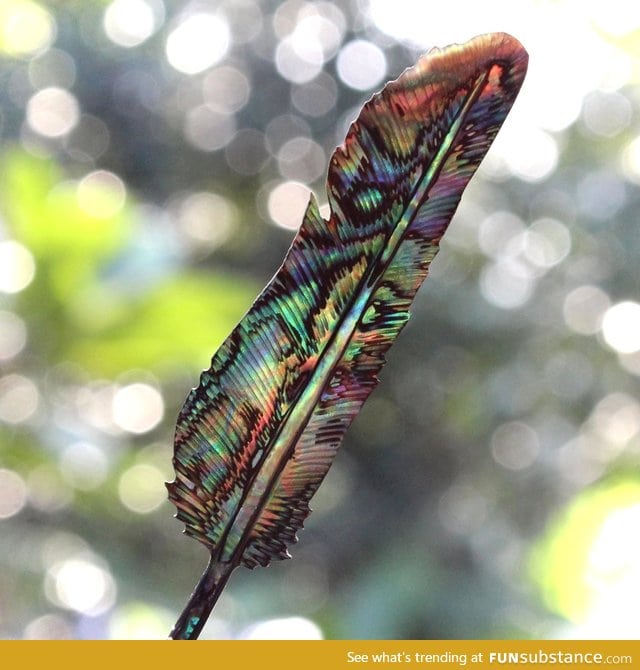 Feather carved from an Abalone shell