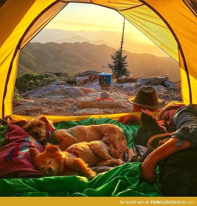 Best kind of camping