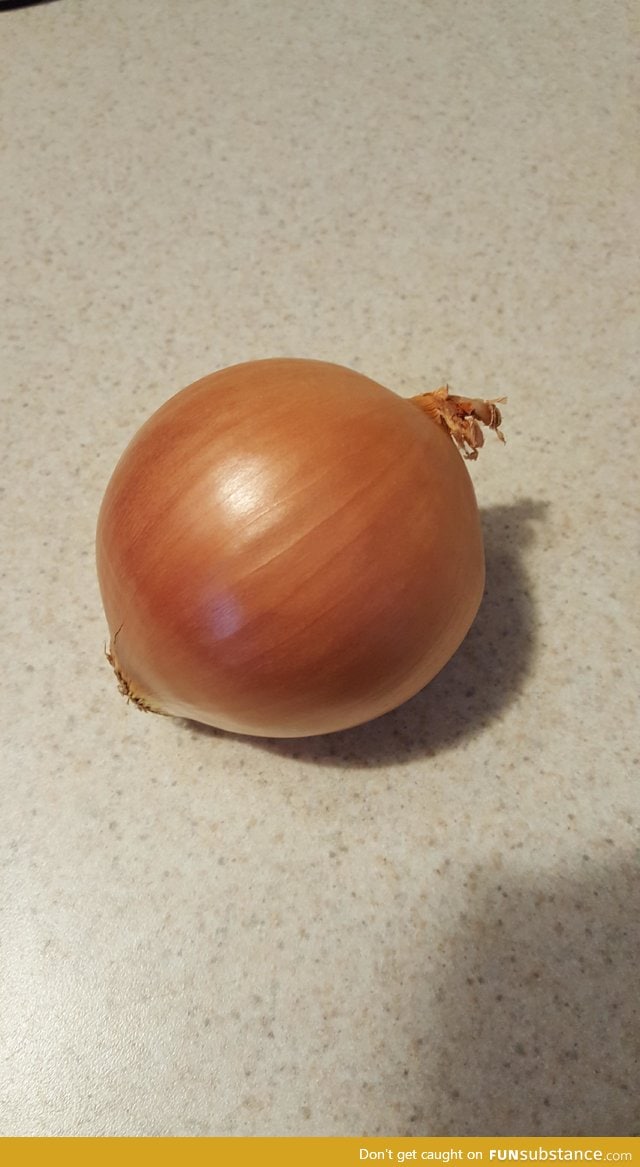 The perfect onion