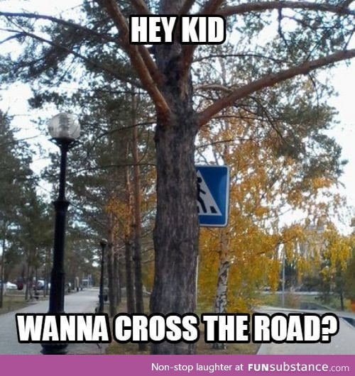 Why did chicken cross the road?