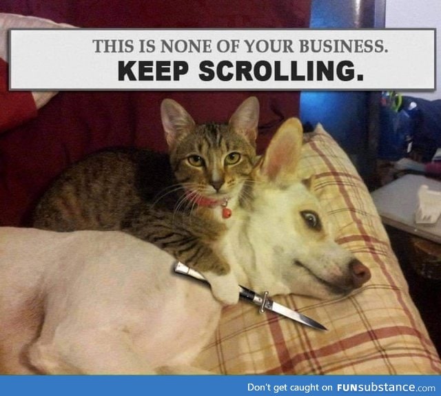 Keep scrollin