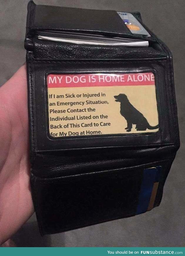 Every dog owner should have this I'm their wallet/purse