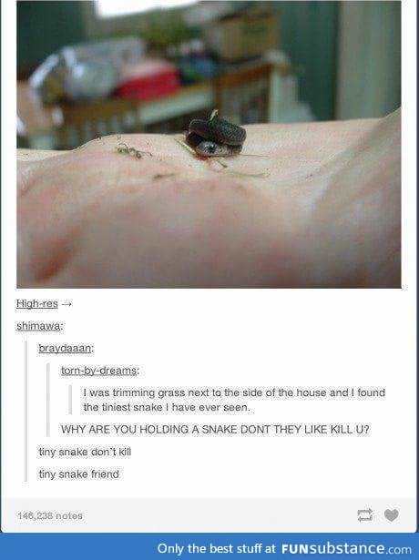 Tiny snake friend