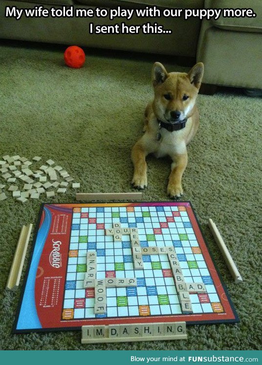 Your move, dog!