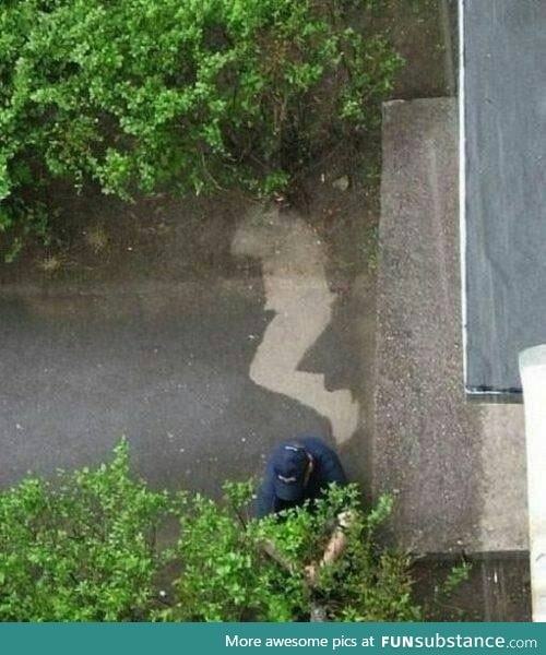 Landscaper was caught sleeping on the job