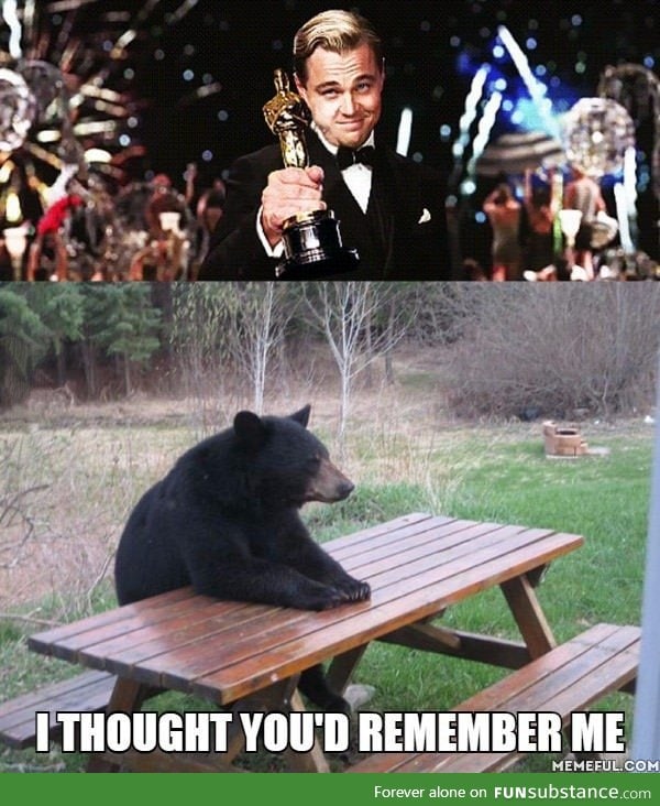 Leo forgot to thank the bear... Again!