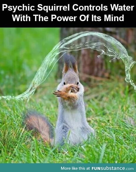 This squirrel is a water bender