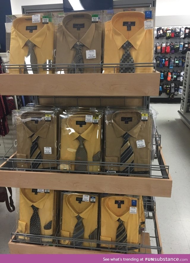 The dwight schrute collection