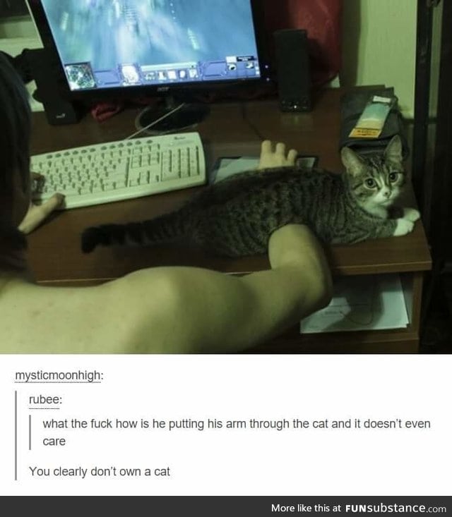 Cat ownership