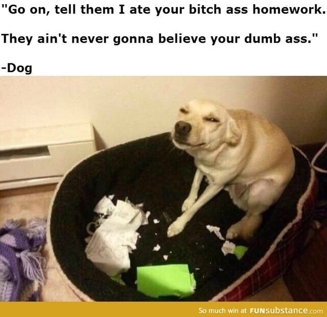 I ate your b*tch ass homework