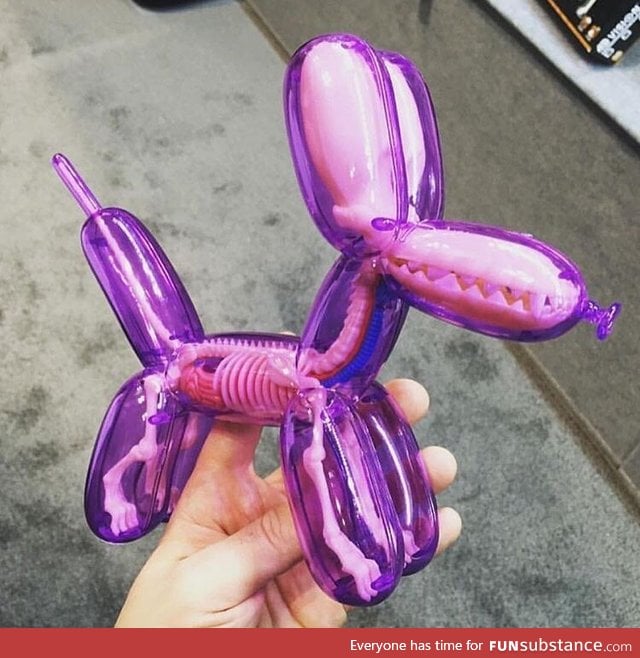 Balloon dog anatomical model