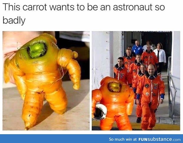 Carrot armstrong