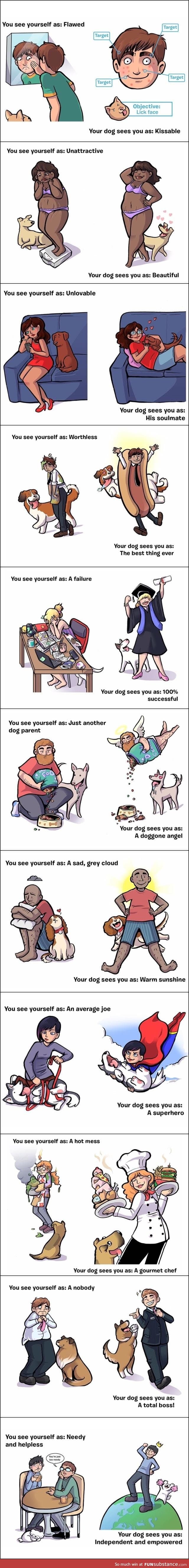 Why Dogs Are The Best. Ever.