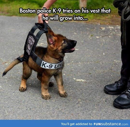 Officer in training