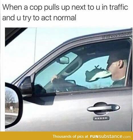 Oh shit it's the cops. Must act normal