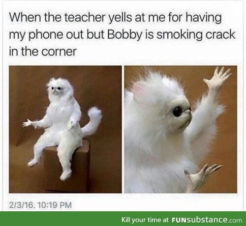 Dammit bobby