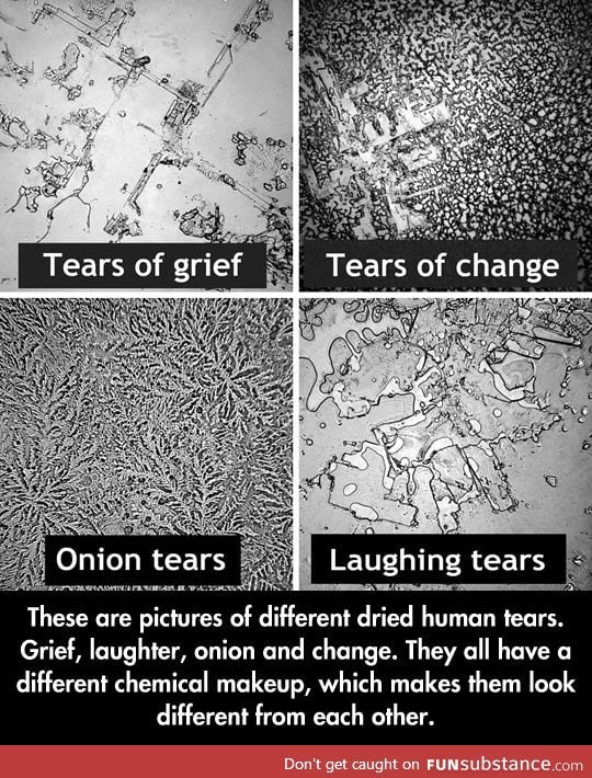 The structure of a tear