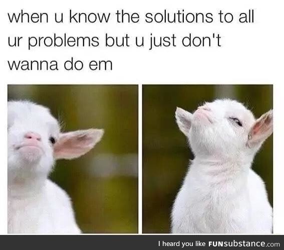 When you know the solutions