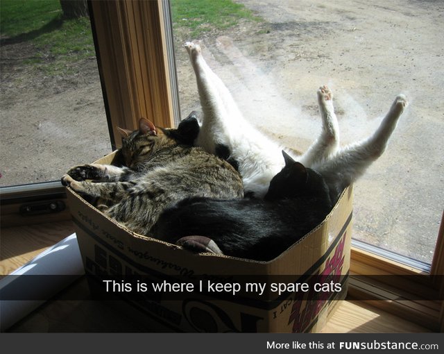 This is where I keep my spare cats