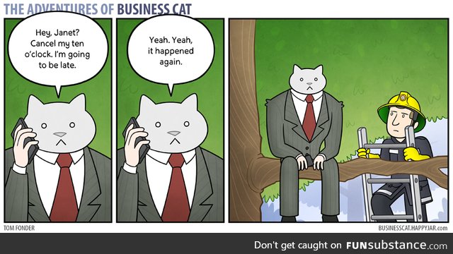 Business Cat