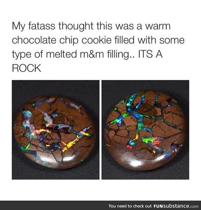 A rock that looks like a chocolate chip cookie