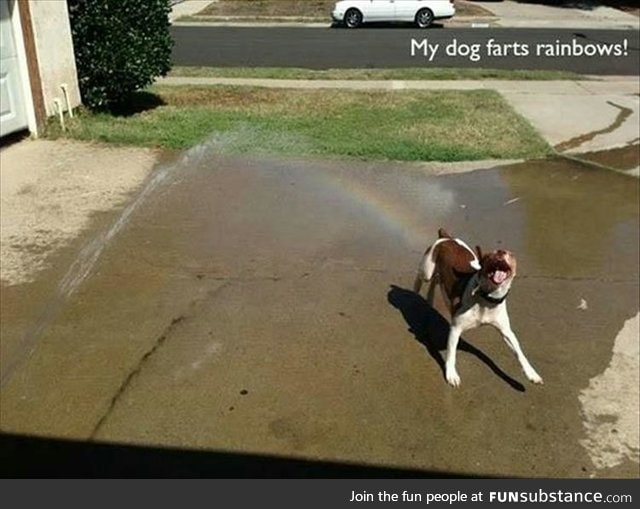 Rainbow farts