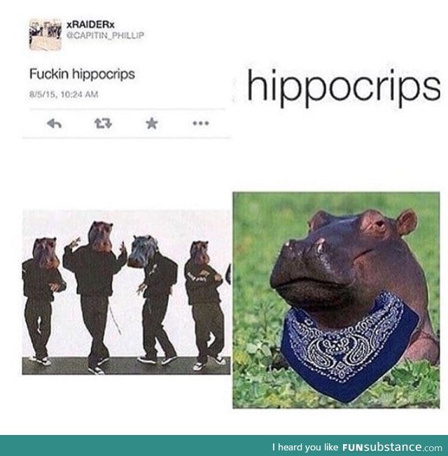 f*ckin hippocrips