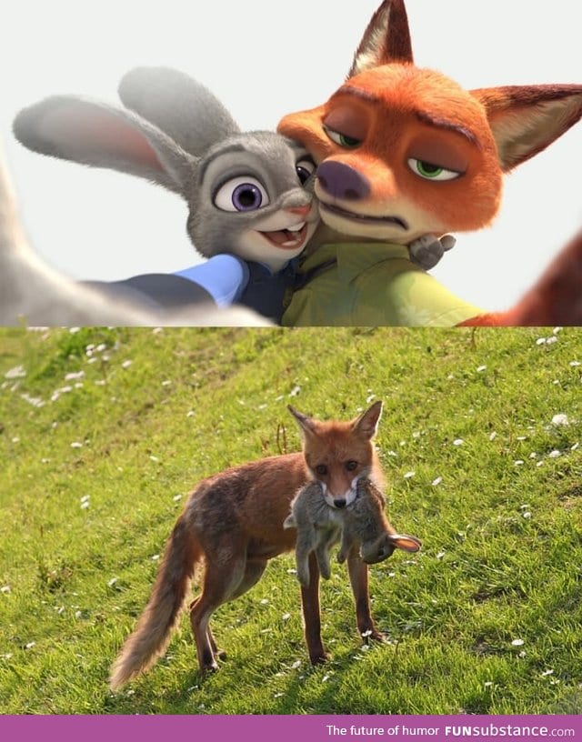 Zootopia in real life