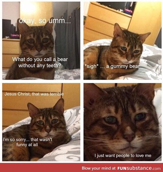 Saddest cat in the world tells a joke