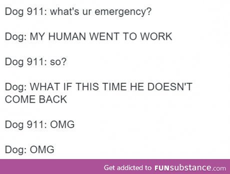 Doggy 911