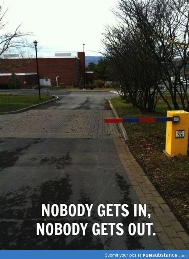 Nobody!