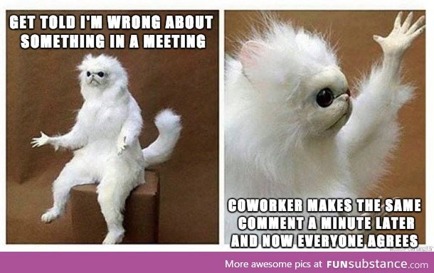 I just don't talk in meetings anymore